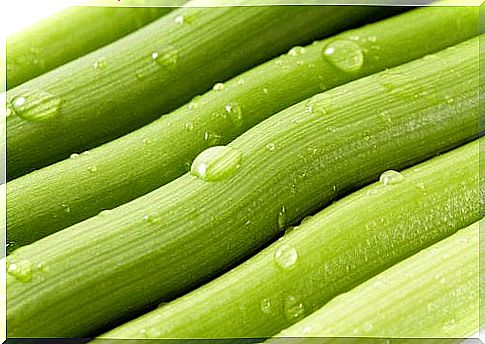 8 wonderful properties of celery