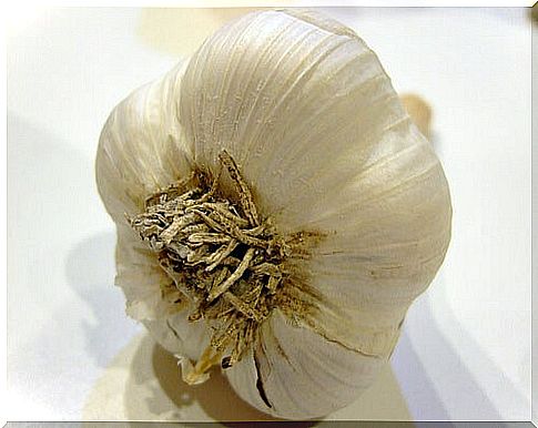 5 # garlic-Aging-over.jpg