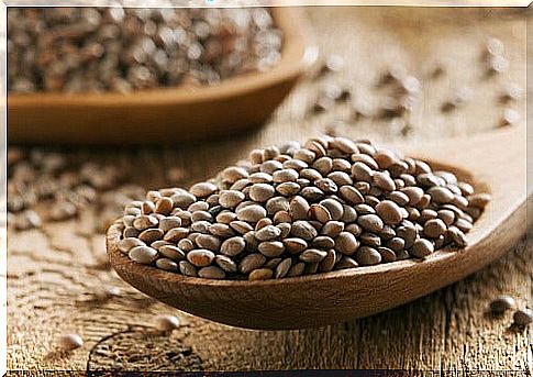 8 # iron-containing-lentils-Aging-aging.jpg