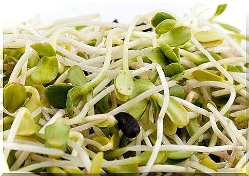 Sprouts