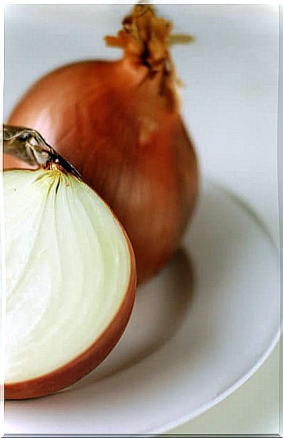 Onion