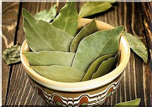 bay leaves