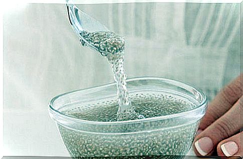 Chia seed gel - benefits and preparation