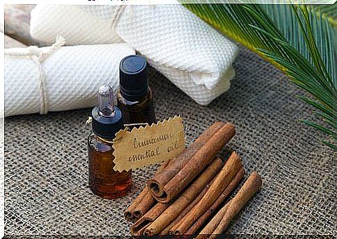 Cinnamon oil: remove belly fat with it