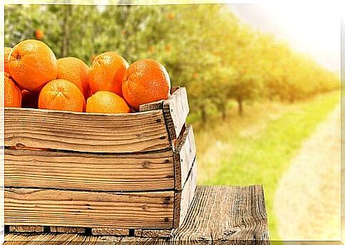 oranges in a box