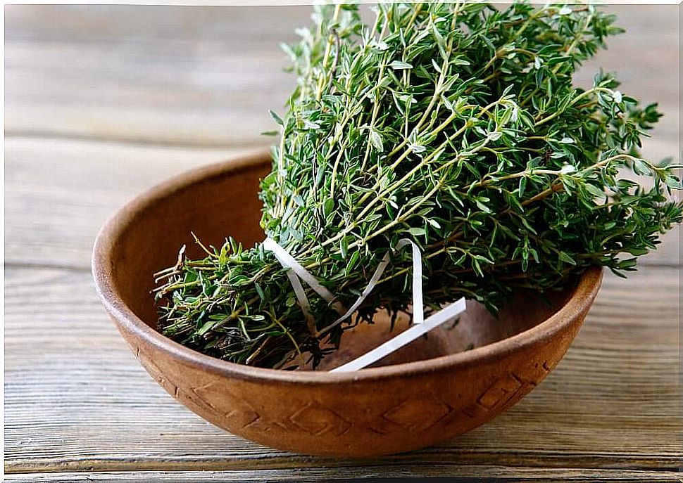 Thyme