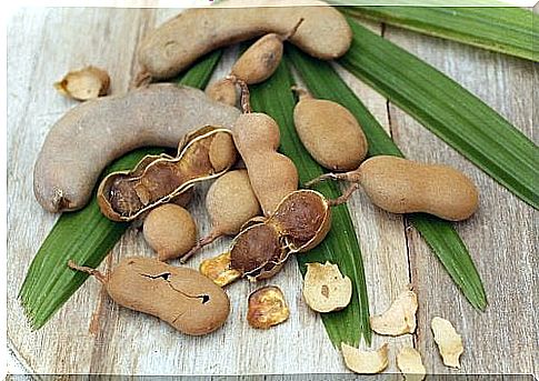 Tamarindo - Tamarind fruit