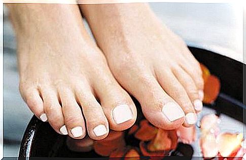 Feet - 3 reliable oils to keep them healthy and well-groomed!