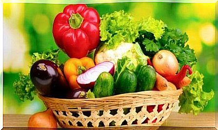 Vegetables contain fiber