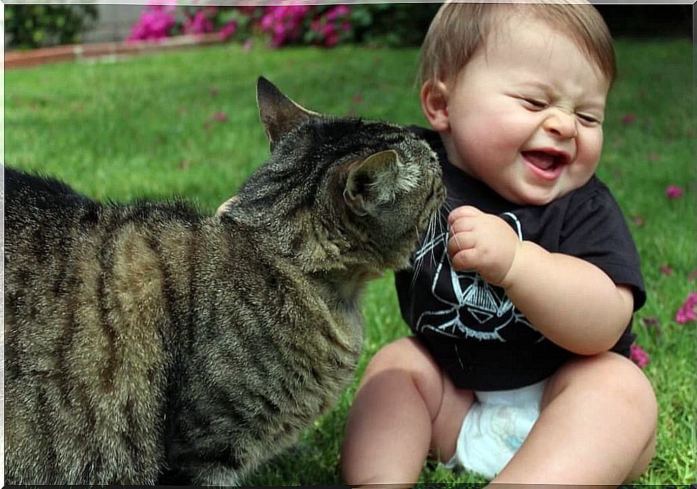 baby with a cat