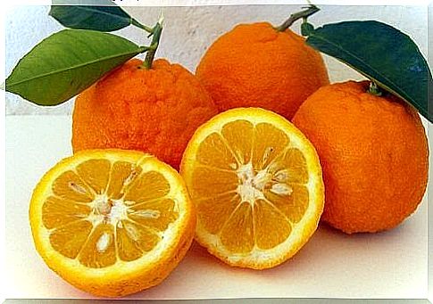 Oranges