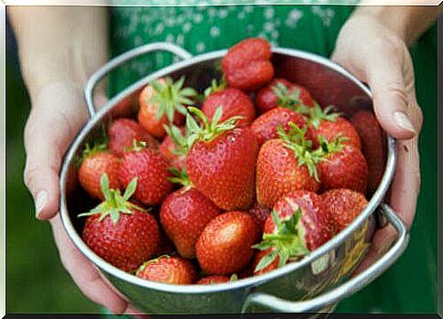 Fresh strawberries, fruit 