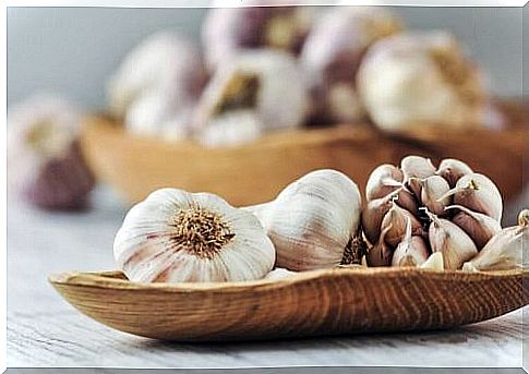 Garlic: find out about its slimming properties