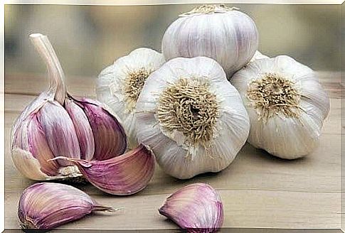 garlic - bulbs and cloves