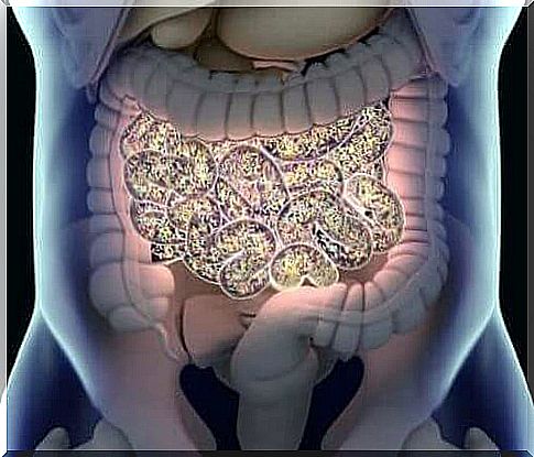 Intestinal flora