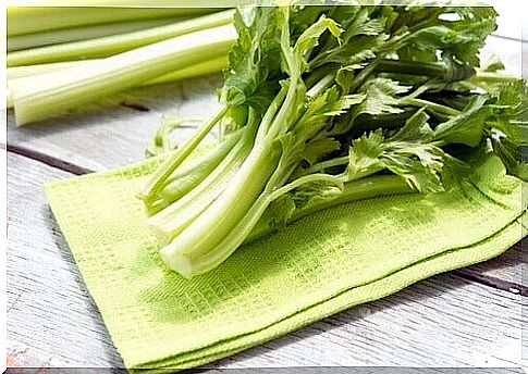 arthrosis celery