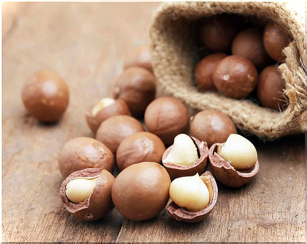 healthy fats - macadamia nuts