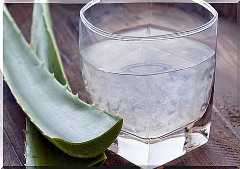 aloe juice