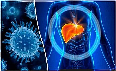 Toxic hepatitis - hepatic metabolism