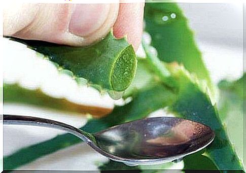 aloe and a teaspoon