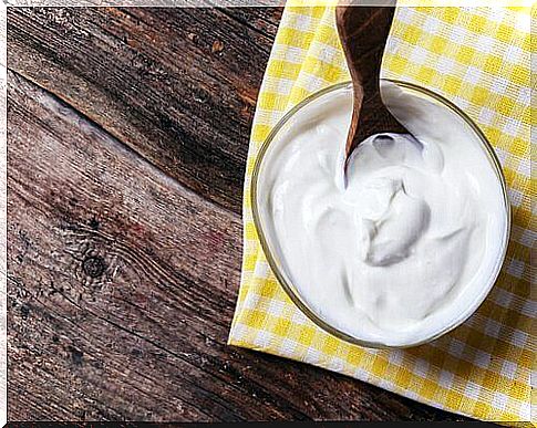 Homemade Greek yogurt - a delicious recipe