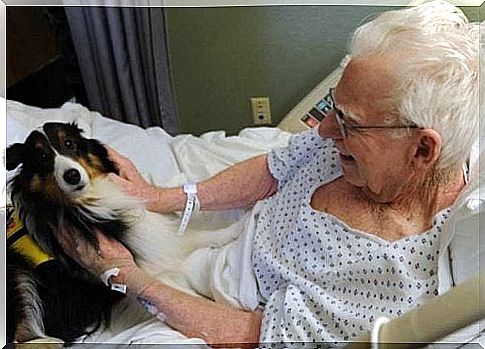 A hospital where their pets visit sick people