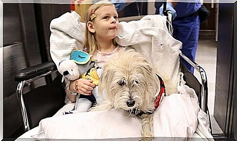 hospital - girl and dog