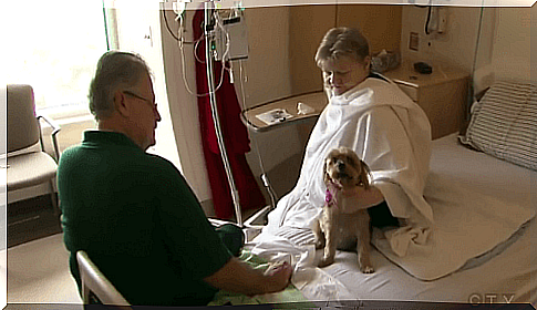 hospital - visiting a pet