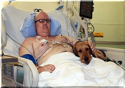 dog in a hospital bed with his master