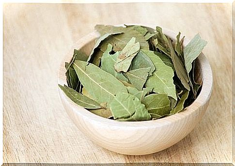 bay leaves in a bowl