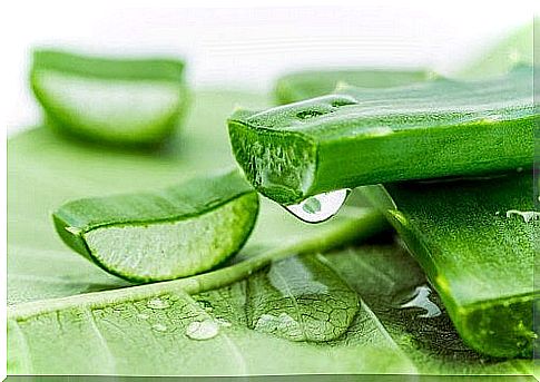 How To Make Aloe Vera Soap Without Caustic Soda