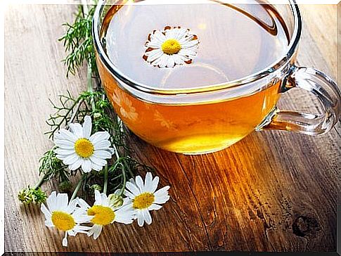 Healing chamomile infusion