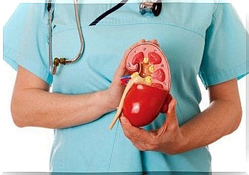 Kidney acidosis - scheme