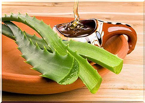 Aloe and honey