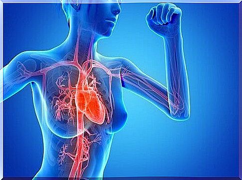 Circulatory system - proper blood circulation