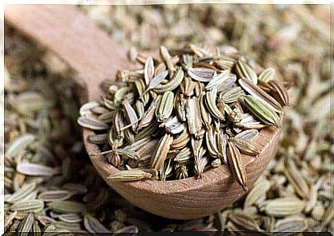 Fennel is a great way to relieve nausea in adults and children.