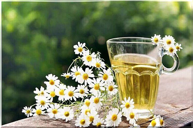 Chamomile infusion and sensitive scalp