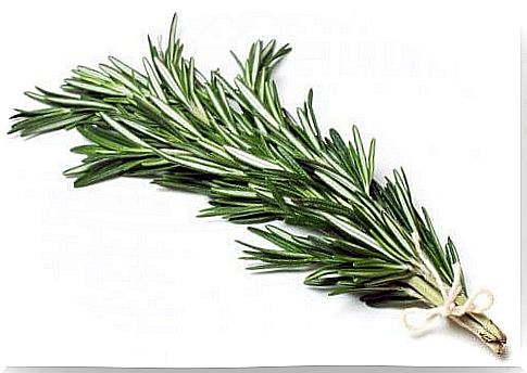 A sprig of fresh rosemary