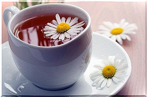 Chamomile tea for joints