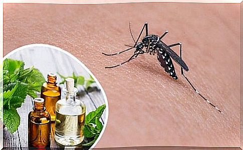 Oil for mosquitoes