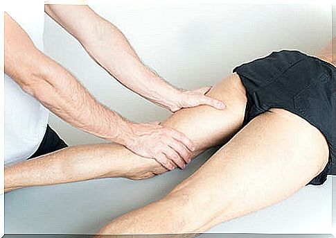 Thigh adductor muscle tendinopathy: symptoms and treatment