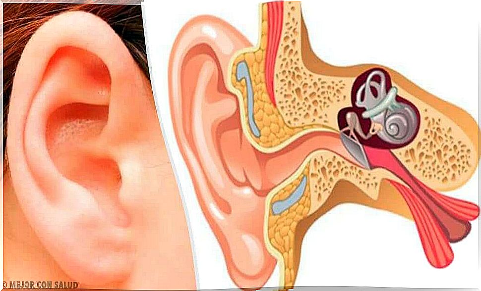 Structure of the ear