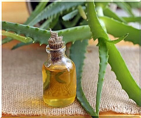 Argan oil with aloe